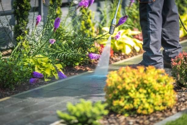 Best Boat and Dock Cleaning  in Sherrill, NY