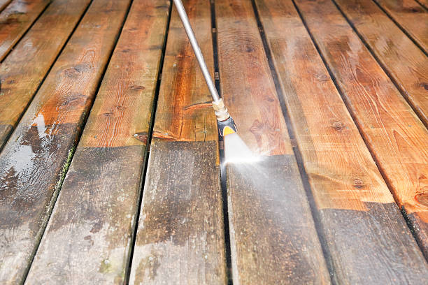 Best Animal Enclosure Cleaning  in Sherrill, NY